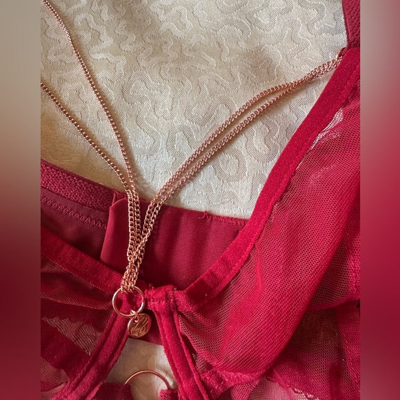 Scantilly unchained sheer plunge bra in deep red size 34FF 34H - Picture 8 of 11